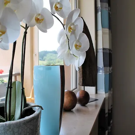 Ferienwohnung Schwarzwaldgluck