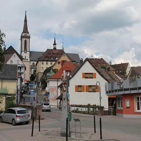 Ferienwohnung Schwarzwaldgluck *